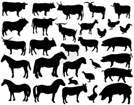 Téléchargez les illustrations : Silhouettes vectorielles de divers animaux d'élevage - en licence libre de droit