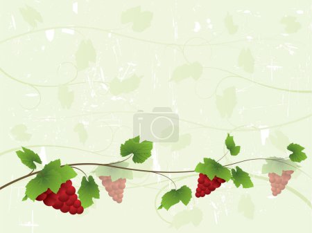 Illustration for Part of my wine collection.  Please check my portfolio for more in the series. - Royalty Free Image