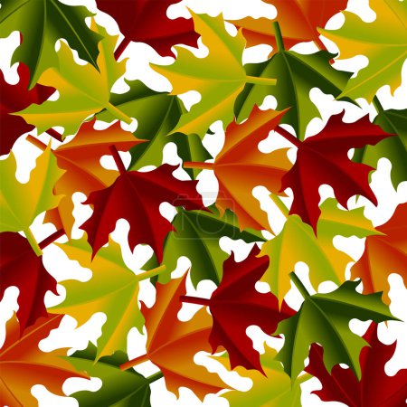 Ilustración de Arce hojas patrón cuadrado sobre fondo blanco - Imagen libre de derechos