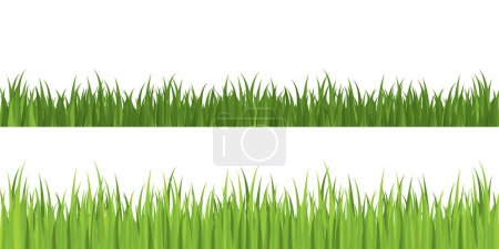 Illustration for Seamless grass.  Grouped for easy editing.  Please check my portfolio for more nature illustrations. - Royalty Free Image