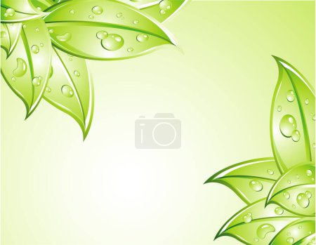 Illustration for Leaves Background with water drops background - Royalty Free Image