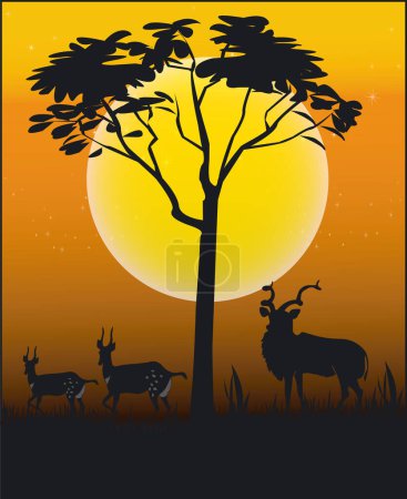 Illustration for Animals of Africa - Illustration Vector Format - Royalty Free Image