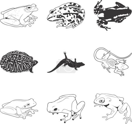 Illustration for Misc reptiles and amphibians, vector clipart set - Royalty Free Image