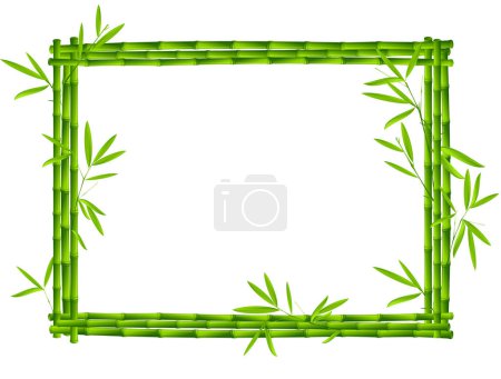 Illustration for Bamboo frame image - color illustration - Royalty Free Image