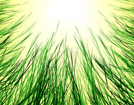 Illustration for Editable vector design looking up through rough grass - Royalty Free Image