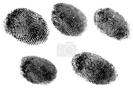 Ilustración de 5 huellas dactilares de vectores en blanco y negro: escaneadas y rastreadas con mucha precisión (el vector es transparente, por lo que se puede superponer en otras imágenes, vectores, etc.. - Imagen libre de derechos