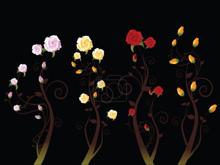 Illustration for Illustration of roses on vine - Royalty Free Image