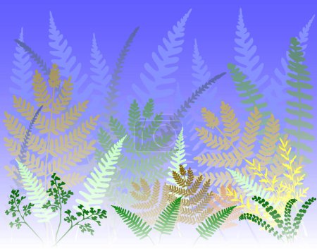 Illustration for Vector background design of various fern fronds - Royalty Free Image