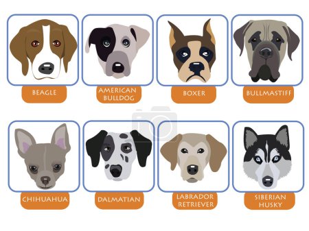 Téléchargez les illustrations : Illustration de chiens de race, portraits de chiens de dessin animé - en licence libre de droit