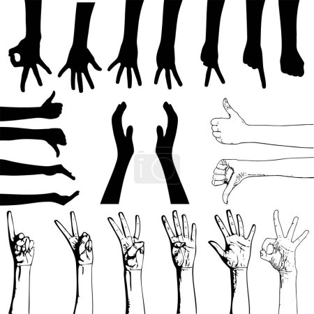 Ilustración de Vector conjunto de gestos manos formas - Imagen libre de derechos