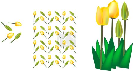 Téléchargez les illustrations : Illustration vectorielle pour une tulipe jaune et motif. - en licence libre de droit