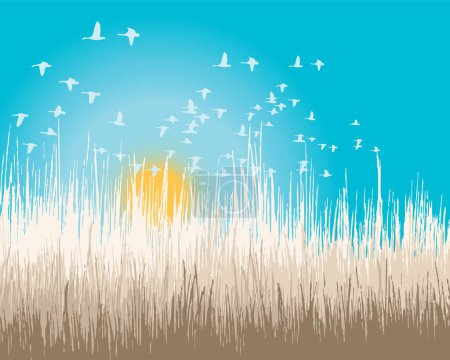 Illustration for Sunrise in beach grass, Background - Royalty Free Image