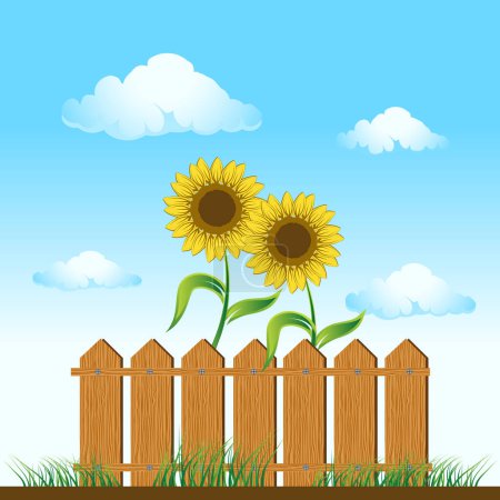 Illustration for Wooden fence. sunflowers on summer meadow - Royalty Free Image
