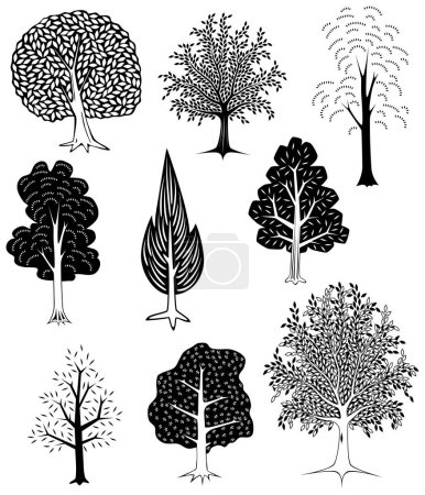 Illustration for Set of simple editable vector tree designs - Royalty Free Image