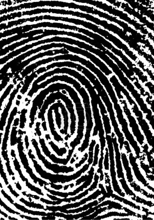 Black and White Vector Fingerprint Crop - Very accurately scanned and traced ( Vector is transparent so it can be overlaid on other images, vectors etc.