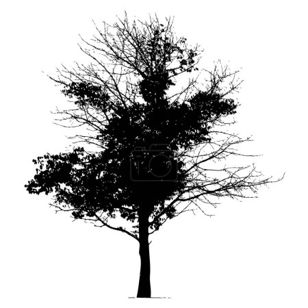Téléchargez les illustrations : Silhouette de l'arbre image noire - illustration en couleur - en licence libre de droit