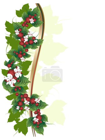 Illustration for White background with floral ornament and berries - Royalty Free Image