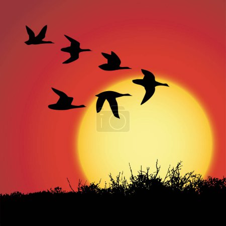 Illustration for Landscape in sunset with silhouette birds - Royalty Free Image