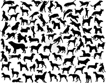 Illustration for Collection of vector silhouettes of various dog breeds and poses - Royalty Free Image