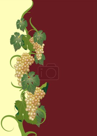 Téléchargez les illustrations : Vin vecteur avec vignes et feuilles - en licence libre de droit