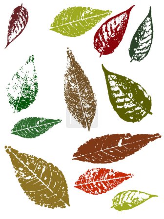 Ilustración de Grunge elements - Autumn Leaves III. Elementos grunge vectoriales altamente detallados - Imagen libre de derechos