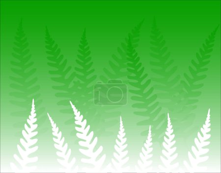 Téléchargez les illustrations : Fond vectoriel de feuilles de fougère verte - en licence libre de droit