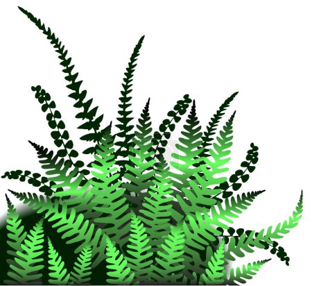 Illustration for Editable vector design element of fern leaves - Royalty Free Image