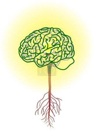 Ilustración de Ilustración vectorial para un árbol cerebral, en el interior hay una bombilla de rayos, metáforas - Imagen libre de derechos