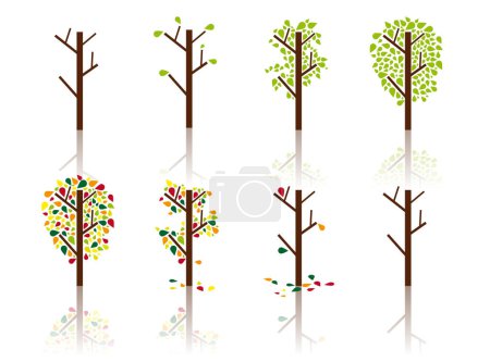 Ilustración de Árbol en proceso. Primavera, verano, otoño e invierno - Imagen libre de derechos