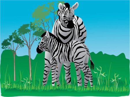 Illustration for Illustration of a wilde zebra - Royalty Free Image