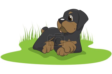 Illustration for Vector illustration of a rottweiler puppy - Royalty Free Image
