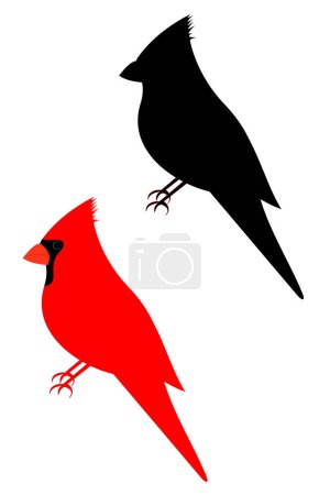 Conjunto de dos pájaros cardinales