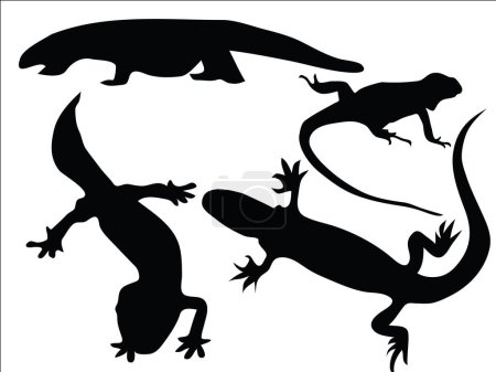 Illustration for Isolated silhouettes of different lizards. - Royalty Free Image