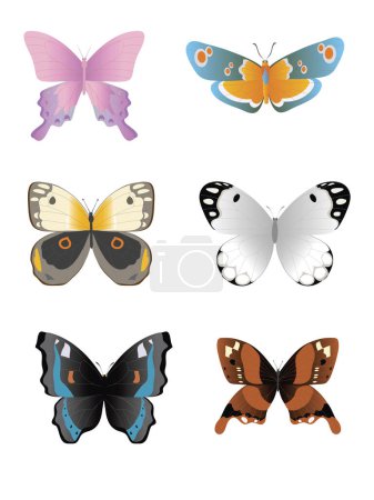 Ilustración de Ilustración de mariposas tropicales de diferentes colores aisladas - Imagen libre de derechos