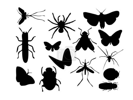 Ilustración de Siluetas vectoriales de diferentes insectos. - Imagen libre de derechos
