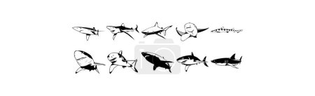 Ilustración de Colección de ilustraciones de vectores suaves EPS de varios tiburones - Imagen libre de derechos