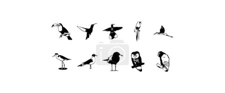 Ilustración de Diez lisos vector clipart ilustración de las aves - Imagen libre de derechos