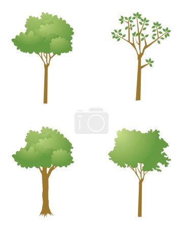 Illustration for Collection of Vector Green Trees - Royalty Free Image