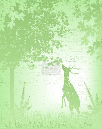 Téléchargez les illustrations : Illustration vectorielle d'un cerf dans un bois brumeux - en licence libre de droit