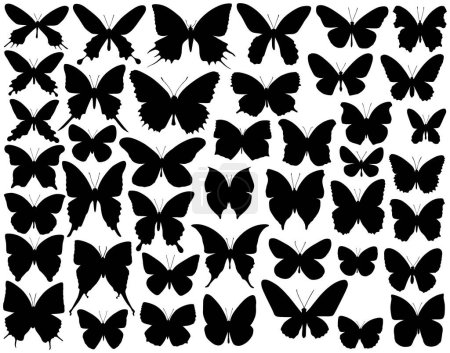 Illustration for Selection of vector butterfly outlines and silhouettes - Royalty Free Image