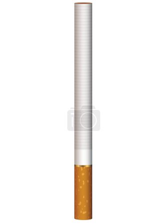 Téléchargez les illustrations : Illustration vectorielle réaliste d'une cigarette debout - en licence libre de droit