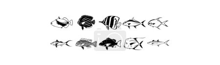 Téléchargez les illustrations : Collection d'illustrations EPS vectorielles lisses de divers poissons - en licence libre de droit