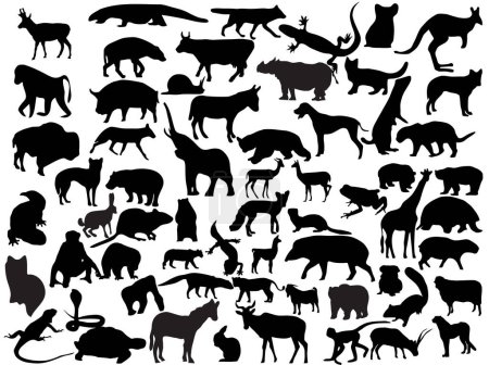 Téléchargez les illustrations : Silhouettes vectorielles de différents animaux. - en licence libre de droit