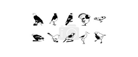 Téléchargez les illustrations : Dix cliparts vectoriels lisses illustrant des oiseaux - en licence libre de droit