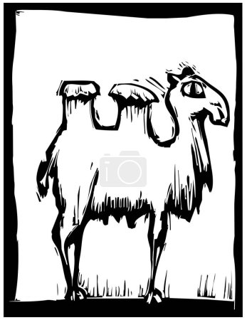 Illustration for Hand drawn sketch of camel - Royalty Free Image