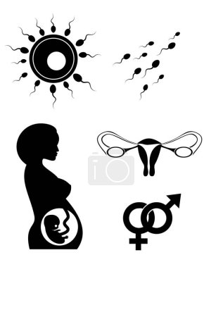 Ilustración de Iconos de maternidad vector ilustración - Imagen libre de derechos