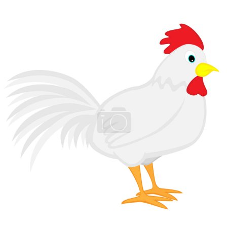 Illustration for Cute rooster on white, vector illustration - Royalty Free Image