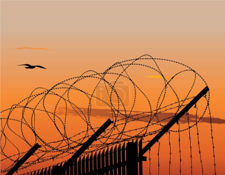 Illustration for Silhouette of barbed wire at sunset - Royalty Free Image