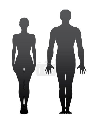 Téléchargez les illustrations : Silhouettes d'homme et de femme sur fond blanc - en licence libre de droit