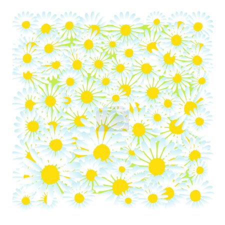 Ilustración de Hermosas flores de manzanilla, ilustración de vectores - Imagen libre de derechos